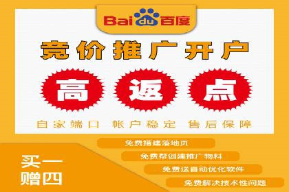 案例分析：百度推广排名提升的优化策略